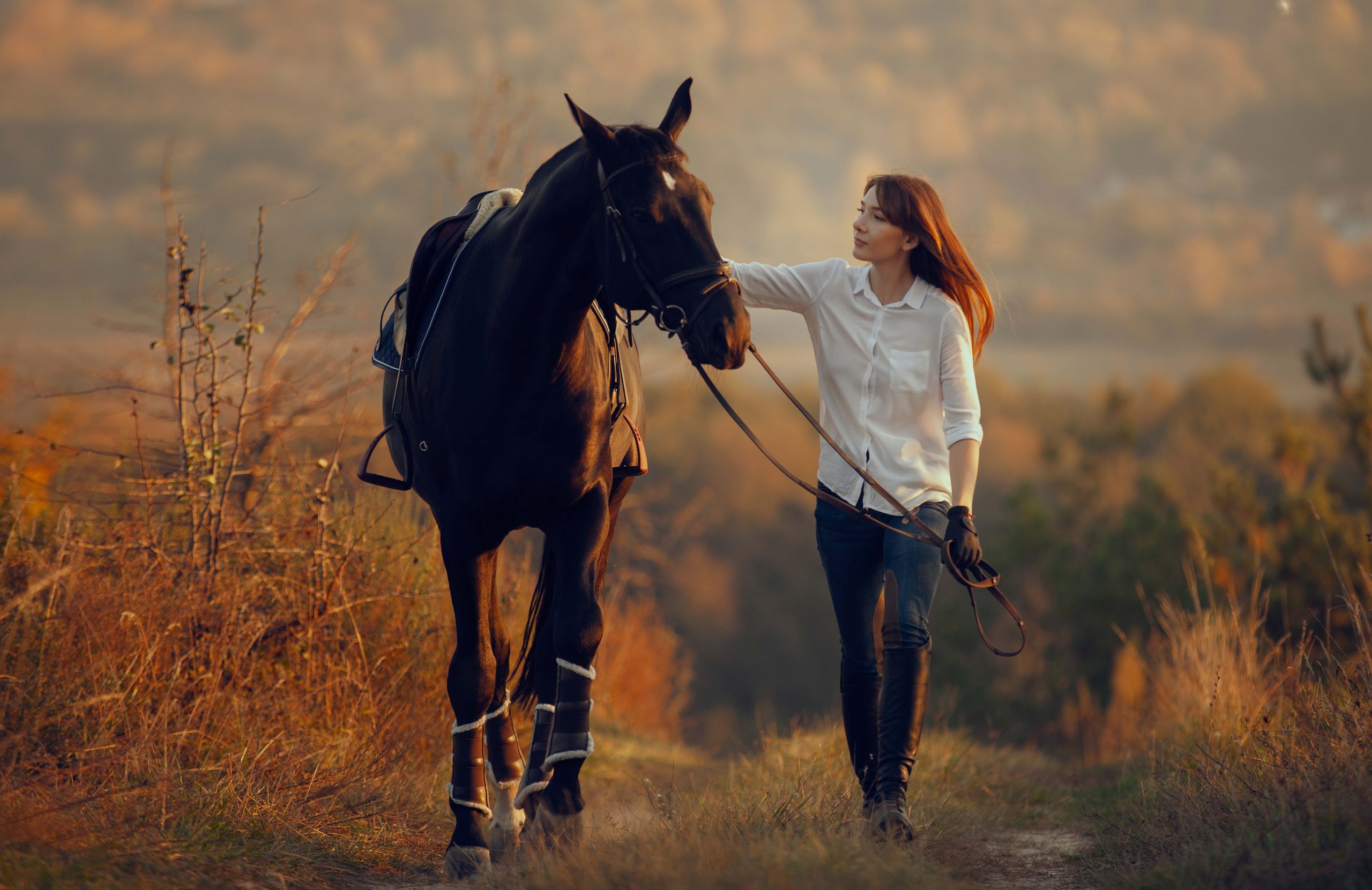 horse riding