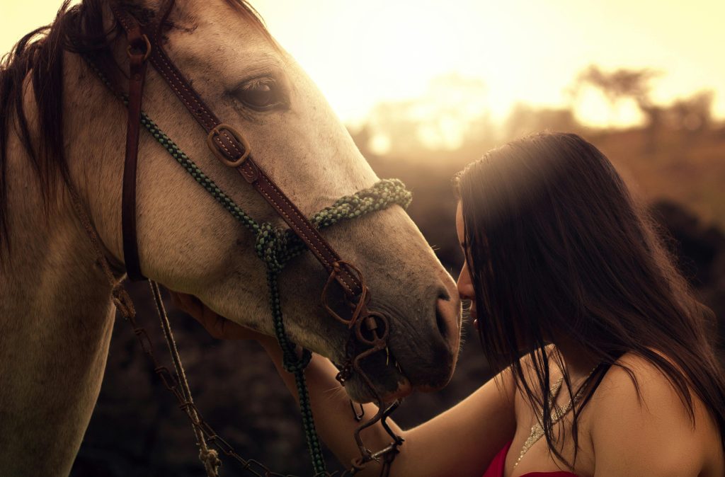A touching scene of a woman and her horse sharing a serene moment during a warm sunset outdoors.